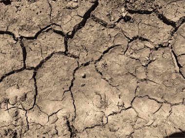 Çatlak yeryüzü arka planı. Toprak yüzeyinde çatlaklar var. Çamur çatlakları.