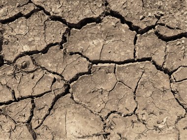 Çatlak yeryüzü arka planı. Toprak yüzeyinde çatlaklar var. Çamur çatlakları.