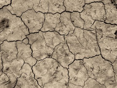 Çatlak yeryüzü arka planı. Toprak yüzeyinde çatlaklar var. Çamur çatlakları.