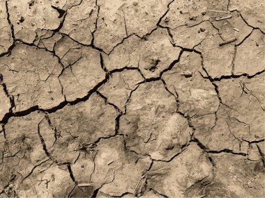 Çatlak yeryüzü arka planı. Toprak yüzeyinde çatlaklar var. Çamur çatlakları.