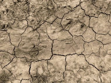 Çatlak yeryüzü arka planı. Toprak yüzeyinde çatlaklar var. Çamur çatlakları.