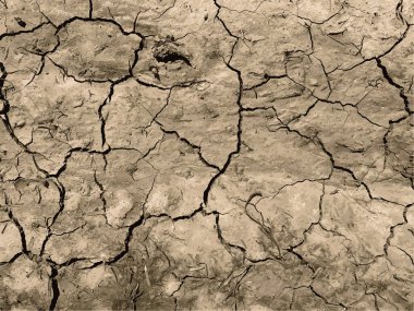 Çatlak yeryüzü arka planı. Toprak yüzeyinde çatlaklar var. Çamur çatlakları.