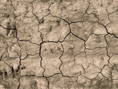 Çatlak yeryüzü arka planı. Toprak yüzeyinde çatlaklar var. Çamur çatlakları.