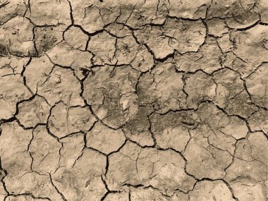 Çatlak yeryüzü arka planı. Toprak yüzeyinde çatlaklar var. Çamur çatlakları.