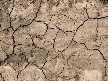 Çatlak yeryüzü arka planı. Toprak yüzeyinde çatlaklar var. Çamur çatlakları.