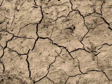 Çatlak yeryüzü arka planı. Toprak yüzeyinde çatlaklar var. Çamur çatlakları.