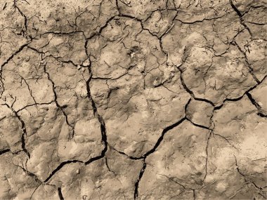 Çatlak yeryüzü arka planı. Toprak yüzeyinde çatlaklar var. Çamur çatlakları.