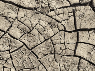 Çatlak yeryüzü arka planı. Toprak yüzeyinde çatlaklar var. Çamur çatlakları.
