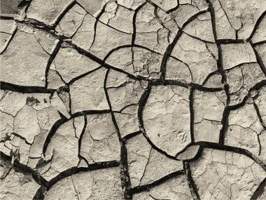 Çatlak yeryüzü arka planı. Toprak yüzeyinde çatlaklar var. Çamur çatlakları.