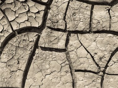 Çatlak yeryüzü arka planı. Toprak yüzeyinde çatlaklar var. Çamur çatlakları.