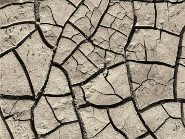 Çatlak yeryüzü arka planı. Toprak yüzeyinde çatlaklar var. Çamur çatlakları.