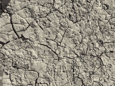 Çatlak yeryüzü arka planı. Toprak yüzeyinde çatlaklar var. Çamur çatlakları.