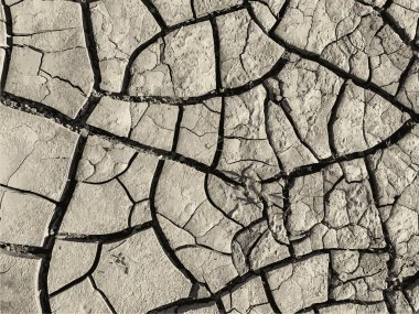 Çatlak yeryüzü arka planı. Toprak yüzeyinde çatlaklar var. Çamur çatlakları.