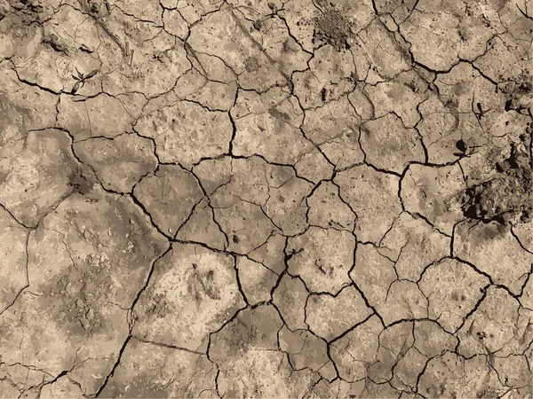 Cracked Earth Background Dry Ground Surface Cracks Mud Cracks — стоковый вектор