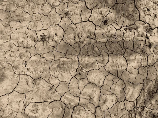 Çatlak yeryüzü arka planı. Toprak yüzeyinde çatlaklar var. Çamur çatlakları.