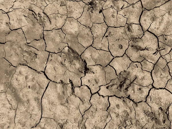 Fond Terre Fissuré Surface Sol Sèche Avec Fissures Fissures Boue — Image vectorielle