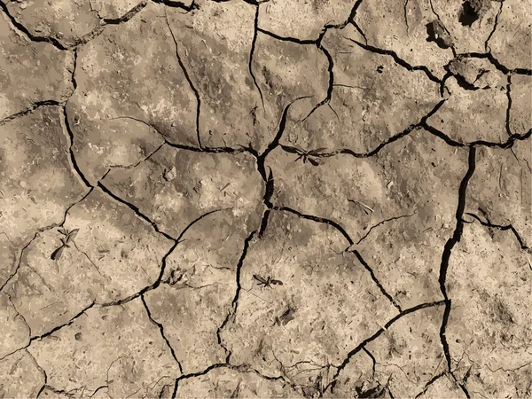 Cracked Earth Background Dry Ground Surface Cracks Mud Cracks — стоковый вектор