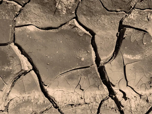 Fond Terre Fissuré Surface Sol Sèche Avec Fissures Fissures Boue — Image vectorielle
