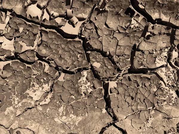 Çatlak yeryüzü arka planı. Toprak yüzeyinde çatlaklar var. Çamur çatlakları.