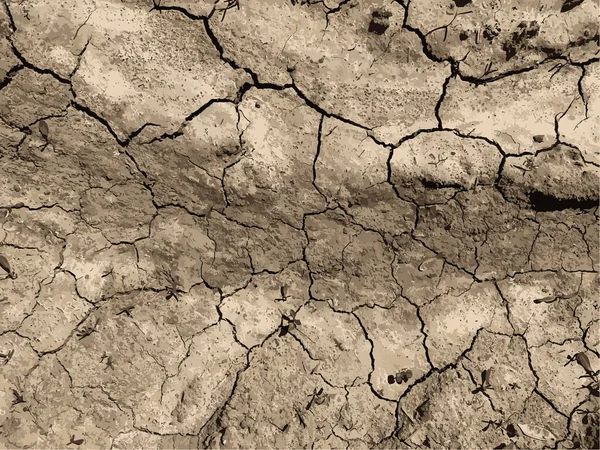 Çatlak yeryüzü arka planı. Toprak yüzeyinde çatlaklar var. Çamur çatlakları.