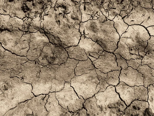 Çatlak yeryüzü arka planı. Toprak yüzeyinde çatlaklar var. Çamur çatlakları.