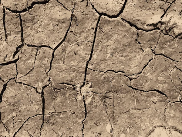 Çatlak yeryüzü arka planı. Toprak yüzeyinde çatlaklar var. Çamur çatlakları.