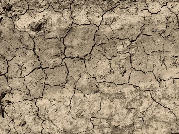 Fondo Tierra Agrietado Superficie Seca Con Grietas Grietas Barro — Vector de stock