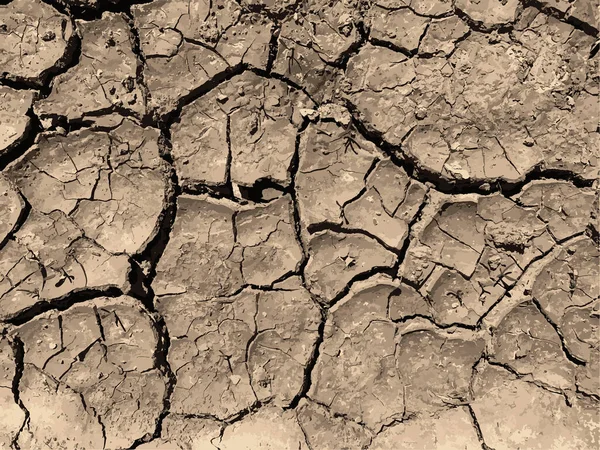 Çatlak yeryüzü arka planı. Toprak yüzeyinde çatlaklar var. Çamur çatlakları.