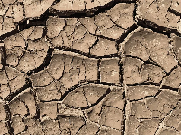 Fond Terre Fissuré Surface Sol Sèche Avec Fissures Fissures Boue — Image vectorielle