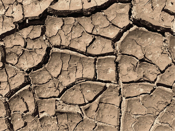 Cracked earth background. Dry ground surface with cracks. Mud cracks.
