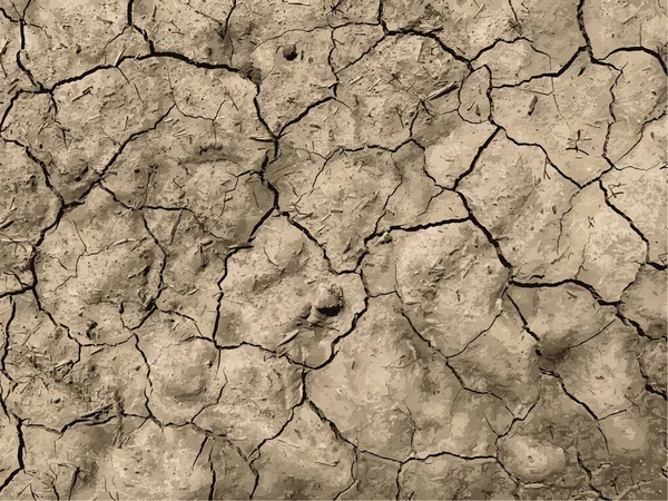 Cracked Earth Background Dry Ground Surface Cracks Mud Cracks — Stock Vector