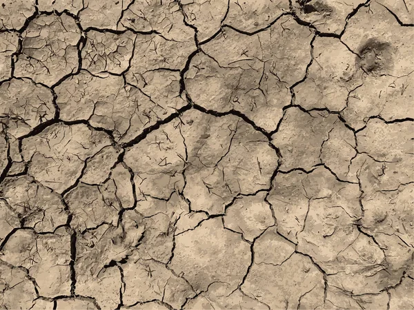 Çatlak yeryüzü arka planı. Toprak yüzeyinde çatlaklar var. Çamur çatlakları.