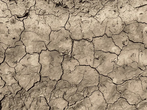 Çatlak yeryüzü arka planı. Toprak yüzeyinde çatlaklar var. Çamur çatlakları.