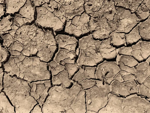 Çatlak yeryüzü arka planı. Toprak yüzeyinde çatlaklar var. Çamur çatlakları.