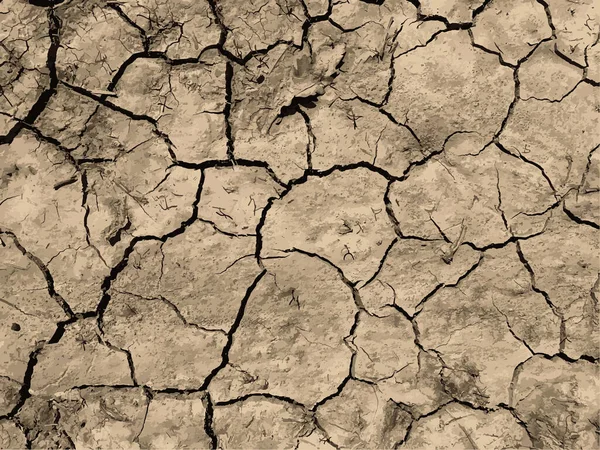 Cracked Earth Background Dry Ground Surface Cracks Mud Cracks — стоковый вектор