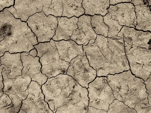 Çatlak yeryüzü arka planı. Toprak yüzeyinde çatlaklar var. Çamur çatlakları.