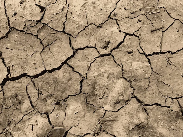 Cracked Earth Background Dry Ground Surface Cracks Mud Cracks — стоковый вектор