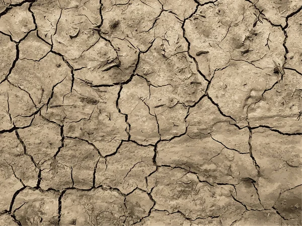 Çatlak yeryüzü arka planı. Toprak yüzeyinde çatlaklar var. Çamur çatlakları.