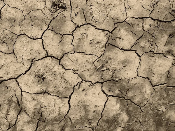 Cracked Earth Background Dry Ground Surface Cracks Mud Cracks — ストックベクタ