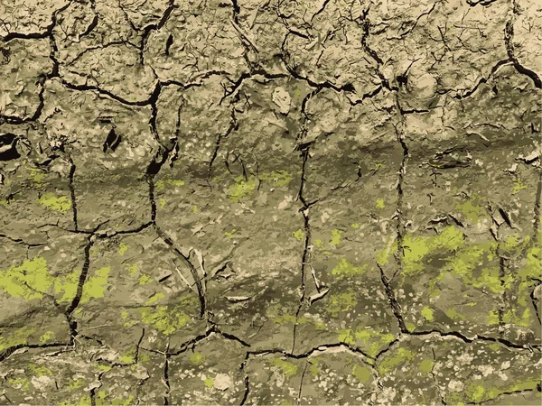 Cracked Earth Background Dry Ground Surface Cracks Mud Cracks — стоковый вектор