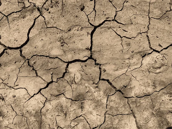 Çatlak yeryüzü arka planı. Toprak yüzeyinde çatlaklar var. Çamur çatlakları.