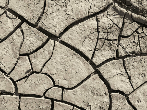 Cracked earth background. Dry ground surface with cracks. Mud cracks.