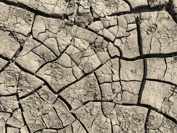 Çatlak yeryüzü arka planı. Toprak yüzeyinde çatlaklar var. Çamur çatlakları.