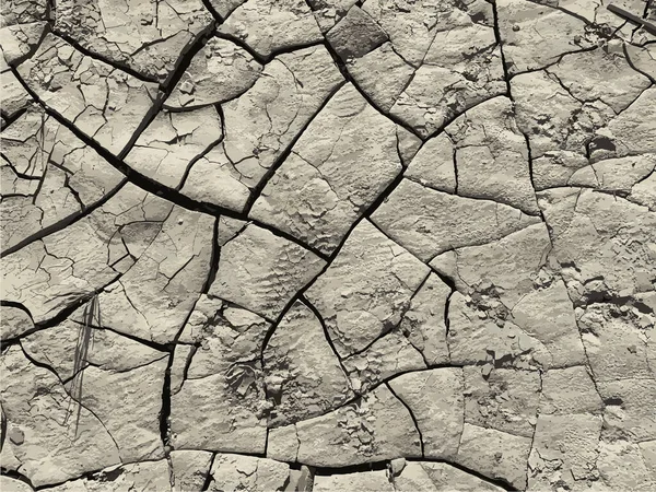 Fond Terre Fissuré Surface Sol Sèche Avec Fissures Fissures Boue — Image vectorielle