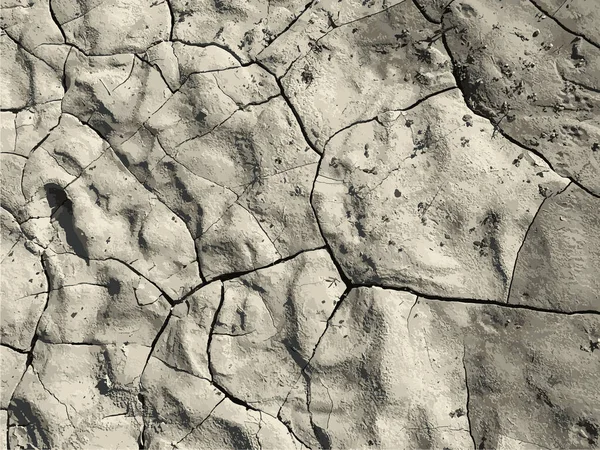 Çatlak yeryüzü arka planı. Toprak yüzeyinde çatlaklar var. Çamur çatlakları.