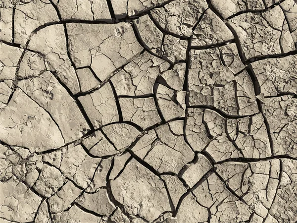 Fond Terre Fissuré Surface Sol Sèche Avec Fissures Fissures Boue — Image vectorielle