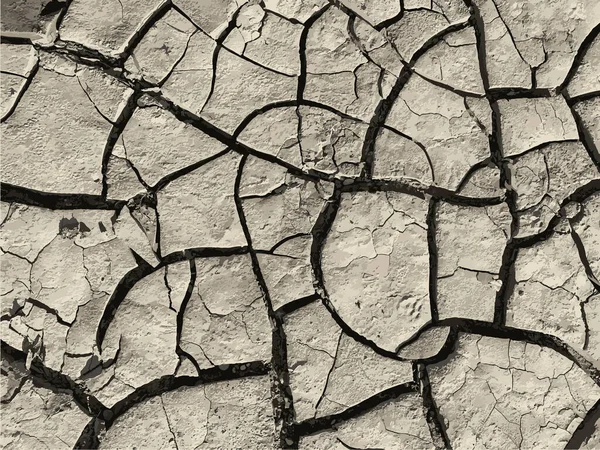 Çatlak yeryüzü arka planı. Toprak yüzeyinde çatlaklar var. Çamur çatlakları.