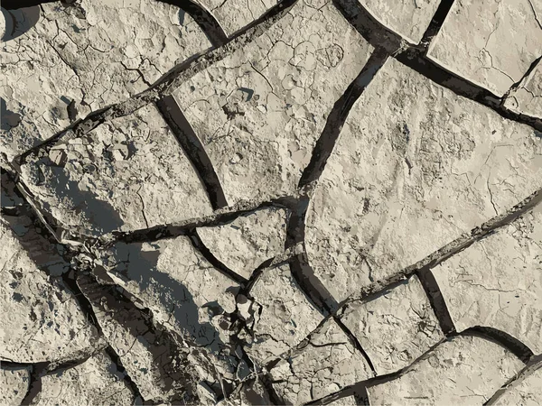 Çatlak yeryüzü arka planı. Toprak yüzeyinde çatlaklar var. Çamur çatlakları.