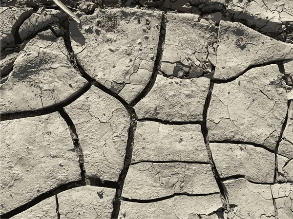 Çatlak yeryüzü arka planı. Toprak yüzeyinde çatlaklar var. Çamur çatlakları.