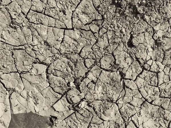 Fundo Terra Rachado Superfície Seca Solo Com Rachaduras Rachaduras Lama — Vetor de Stock